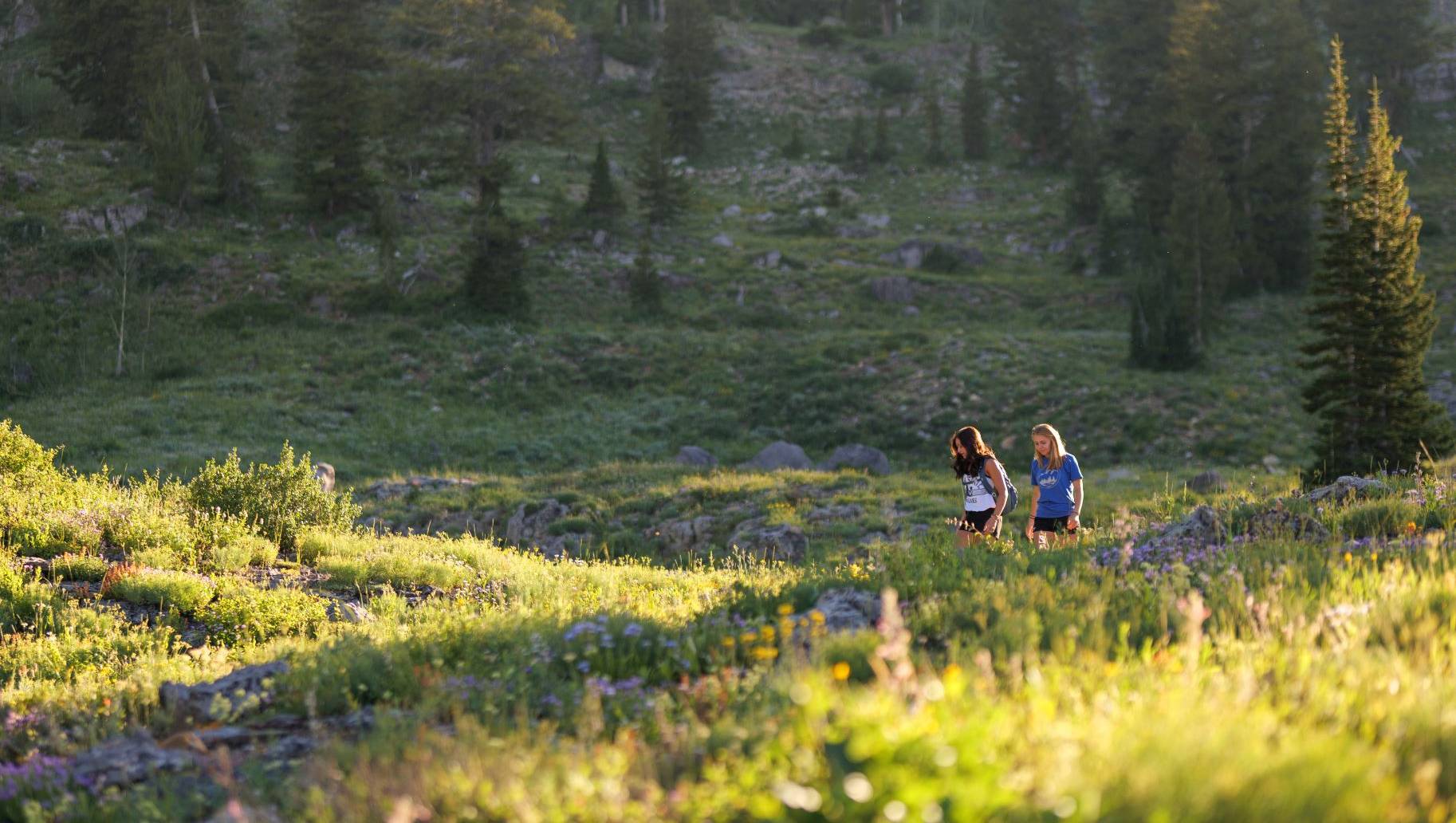 students on a hiking trail