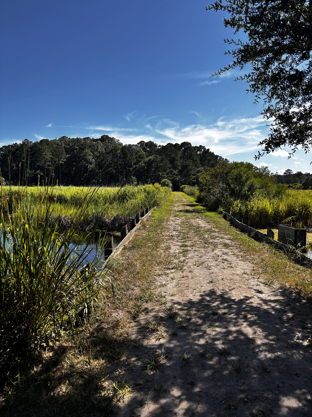 a dirt and wood bridge over a small river with a forest in the background