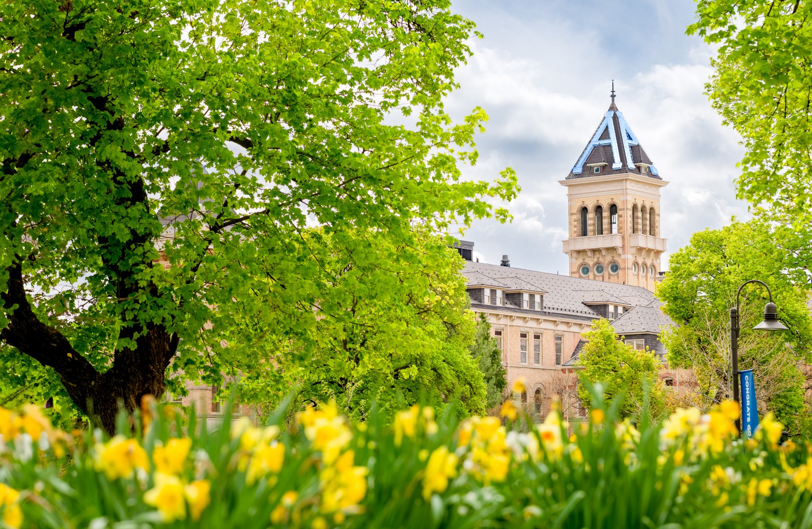 Faculty Updates Summer 2026