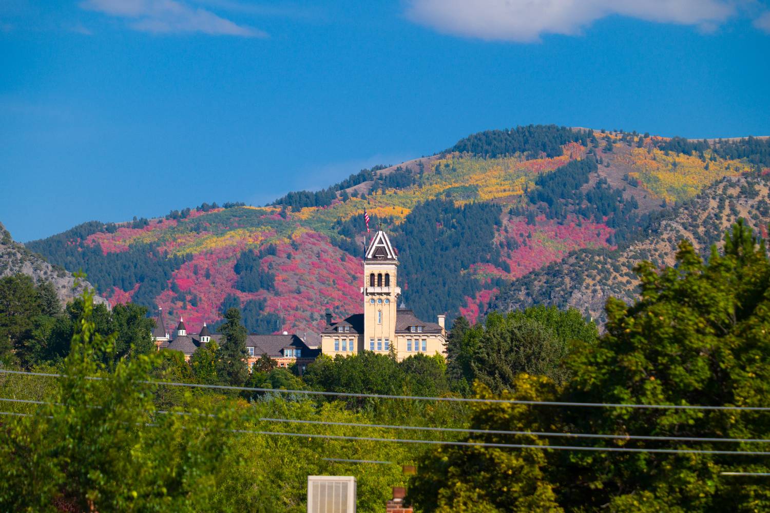 November Faculty Update