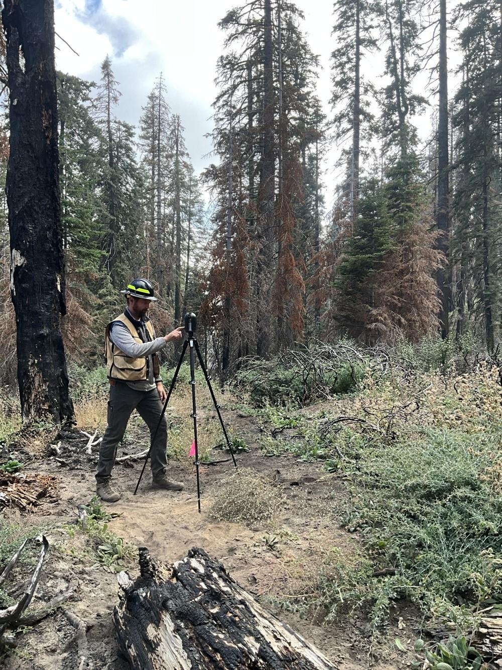 A man setting up a tripod instrument in a wooded area.