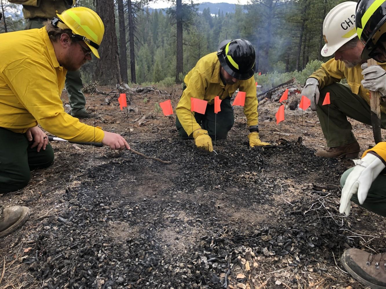 Individuals inspecting a charred area of ground with orange marker flags stuck into it.