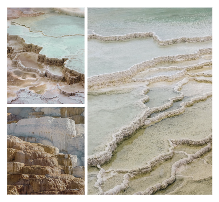 Inspiration images of Yellowstone’s geothermal springs and hot pools, featuring a grounded palette of mossy greens, honey, and soft peach that informs the organic shapes and colors of the spa design.