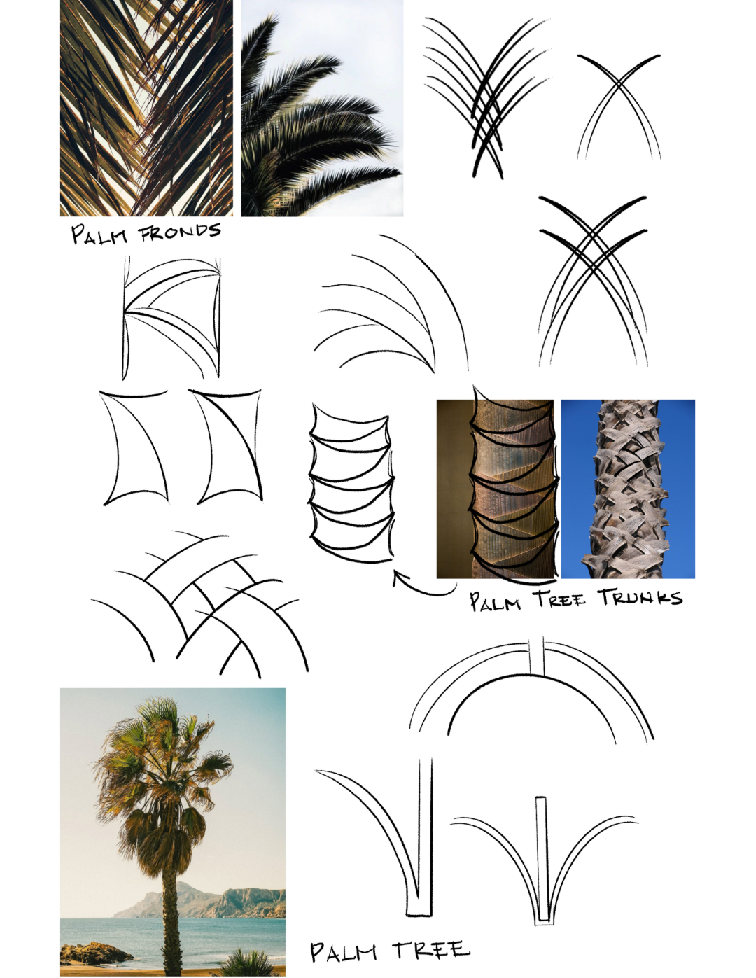 Concept development board showing iterative sketches and reference images
of palm fronds and palm tree trunks, exploring curved and layered forms that inform the
design language of the Aureate Coast Collection.