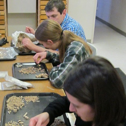 students in lab working with samples