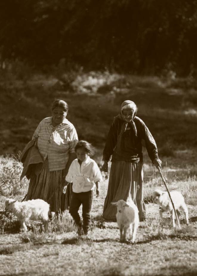 Two women and a child walking alongside sheep.