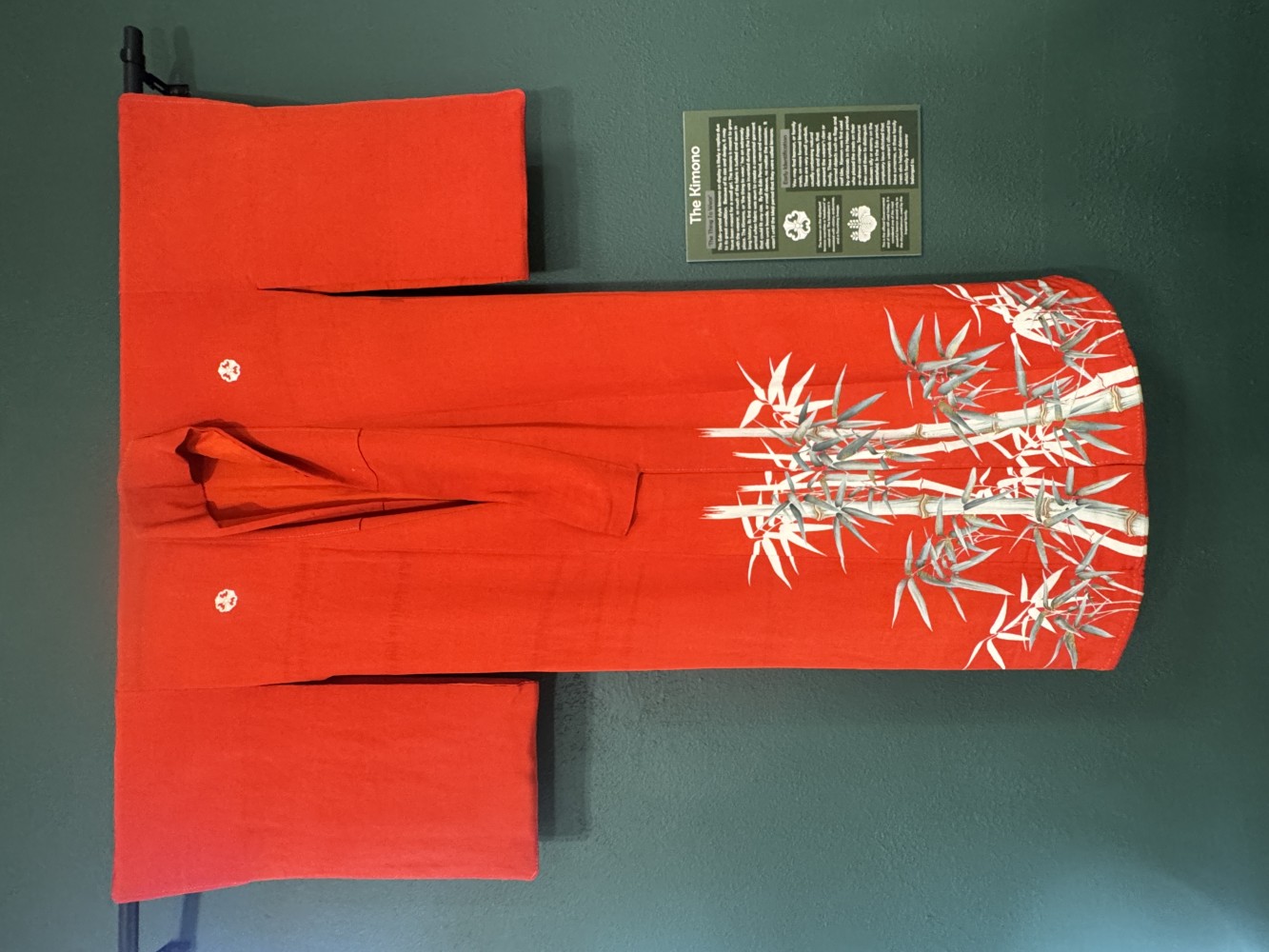 A bright red kimono.