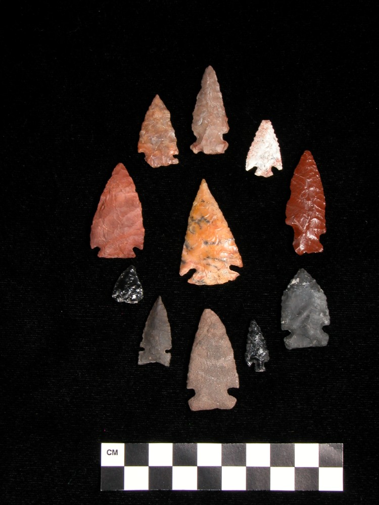 A collection of arrowheads of various shapes and colors.