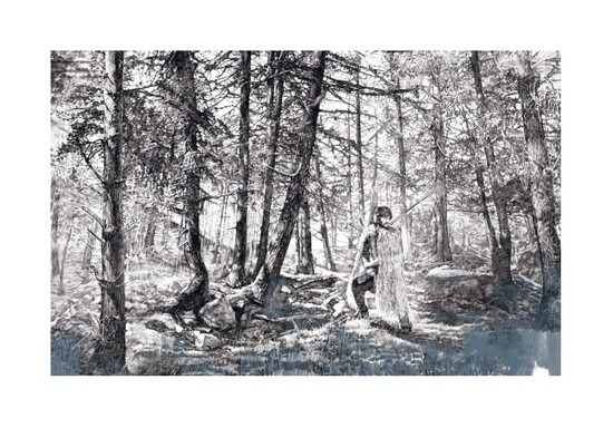 An illustration of a wooded area.