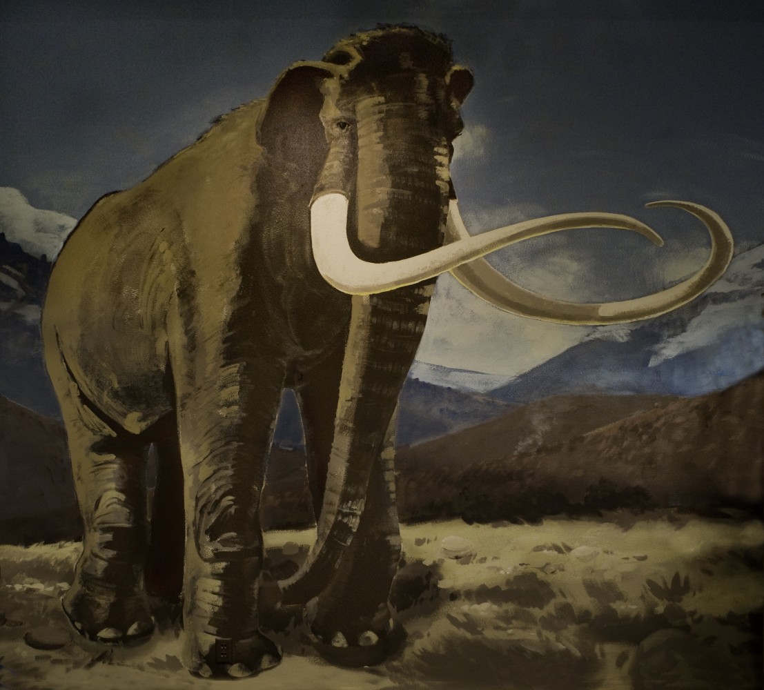 An illustration of a woolly mammoth.