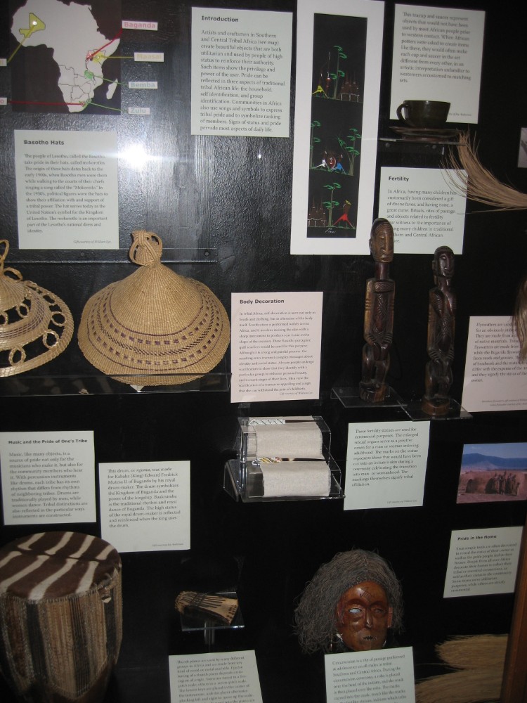 Shelves lined with African artifacts.