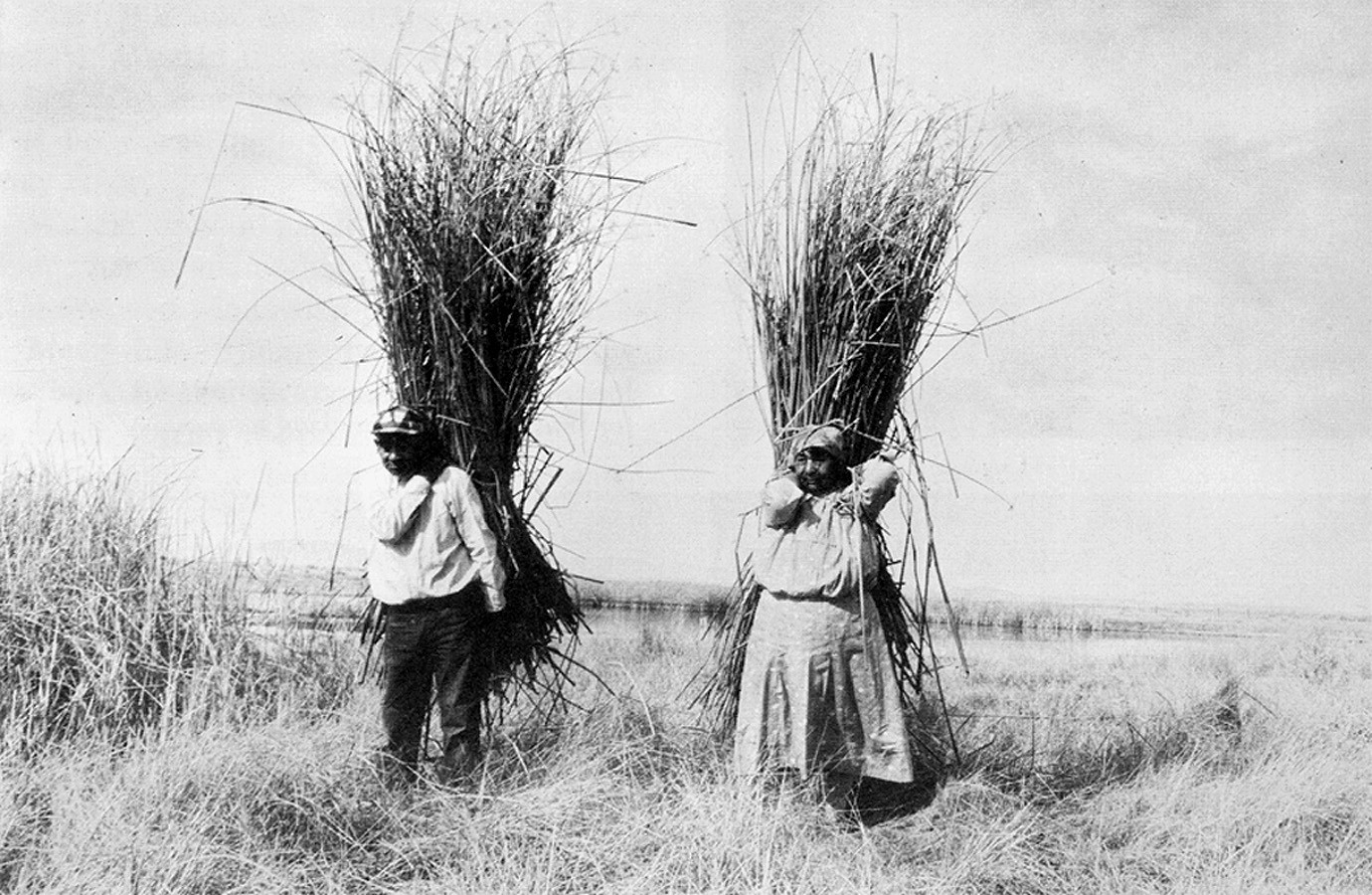 Two farmers with bales of hay on their backs.