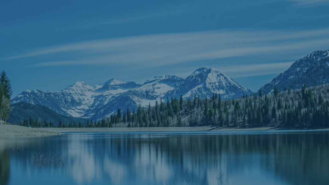 TCI Re-envisioning Study 2021 Reports